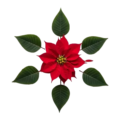 Imagen PNG para descargar